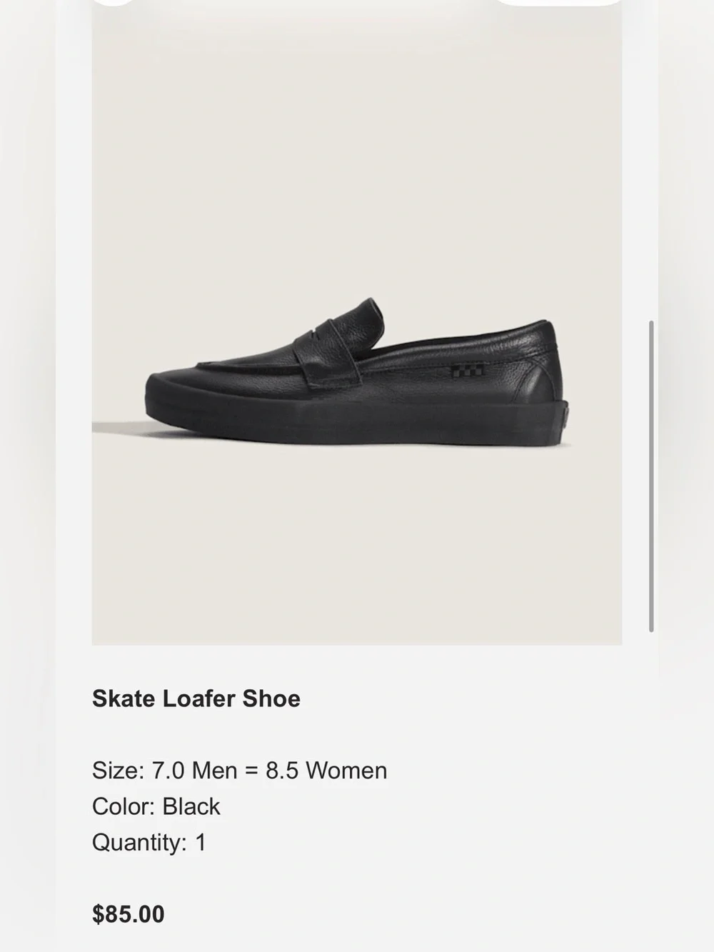 Vans Loafer Skate Shoes
